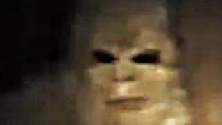 The Pennsylvania Albino Footage ENHANCED VERSION Bigfoot, Sasquatch, Yeti