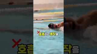 수영할때 숨 차는 분들 이거 딱 3가지만 신경써주세요