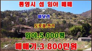 물번,444번) 바닷가 임야,5.000평 매매가,3.800만원 총,28.503평 중에 지분 5.000평 만 따로 매매합니다 도로접하고 전기인입 쉬우면 바닷가,50m 입니다