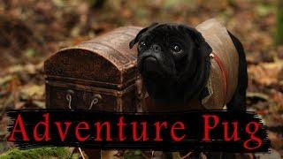 Adventure Pug