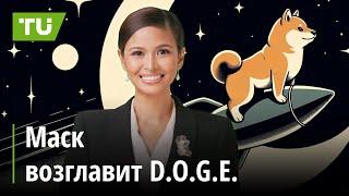 D.O.G.E. реальность! Почему инвесторы делают ставки на Bitcoin и Ethereum: Крипто-новости за 13.11