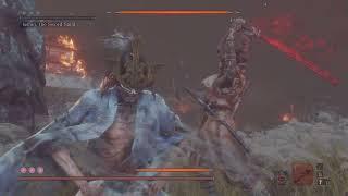 Sekiro » Sword Saint, Isshin Ashina