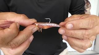 Fishing The New 2.75" D.O.A. Shrimp