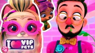  CHE STILE!   VIP PETS  EPISODI COMPLETI  CARTONI ANIMATI per BAMBINI in ITALIANO 