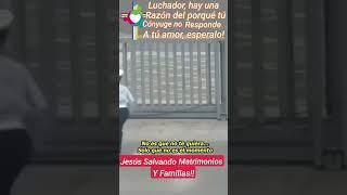Entendiendo Porque Pródigos No Pueden Responder Al Amor Cuando Uno Quiere, Dios Lo Da En Su Tiempo!!