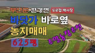 [Any의114부동산]  #124 전남 무안군 현경면 바닷가 바로옆 농지625평 매매