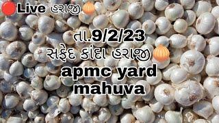 Live સફેદ કાંદા હરાજીતા.7/2/23|apmc mahuva yard | p.m.gajera |#live #pmgajera #onion #red #auction