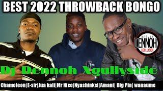 BEST 2022 THROWBACK BONGO|CHAMELEONE|MRNICE|JUAKALI |E SIR  AND BEST ARISTS  BY DJ DENNOH XGULLYSIDE