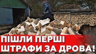 Почались штрафи за дрова без документів! А влада Придумала, як обскубати населення ще більше!