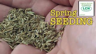 Every Reason NOT to SEED Your Lawn In Spring