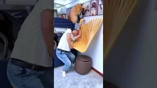 This is the real furniture king #shorts #shortvideo