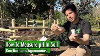 How To Measure pH In Soil