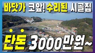 바다 5분거리! 리모델링 시골집 2채 + 대지 3000만원대 이런건 어떠세요?