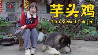 Digging taro with Dawang and Grandma to make Taro Chicken!