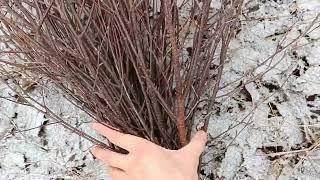 Будни Олега. Поход за речку. Люди на кладбище. Убрал лодку с острова.