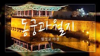 경주여행/아름다운 경주 동궁과 월지 &월정교 야경/어니의힐링여행