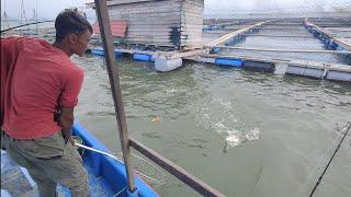 06/01/2025 Trip Mancing at Sangkar Sungai Udang Penang