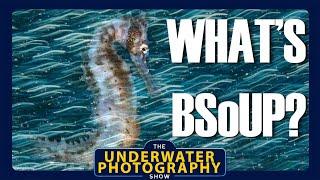 An Introduction to BSoUP with Nur Tucker