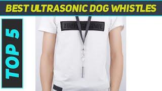 Top 5 Best Ultrasonic Dog Whistles 2023