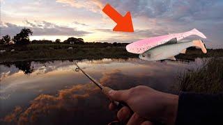 Lure Fishing on the Canal for Pike and Perch!