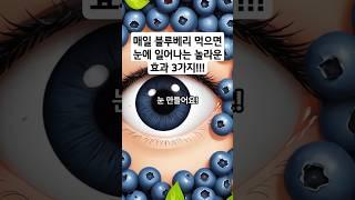 매일 블루베리 먹으면 눈에 일어나는 놀라운 변화 #블루베리 #눈건강 #안토시아닌 #건강정보 #슈퍼푸드 #웰빙 #항산화 #항노화 #노화방지 #냉동블루베리