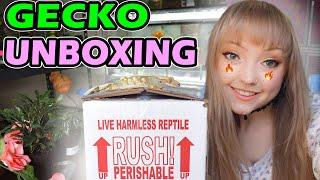 Unboxing 3 NEW GECKOS from Altitude Exotics! + COUPON CODE!