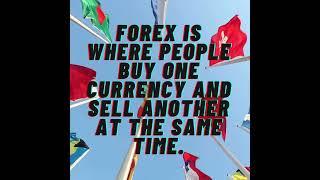 What is Forex? The World's Biggest Money Market Explained 