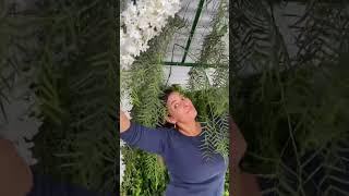 Bastidores de uma Decoração de Casamento com Vanice Barreto