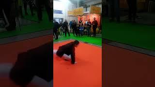 wudang Kungfu in  Dresden Deutschland