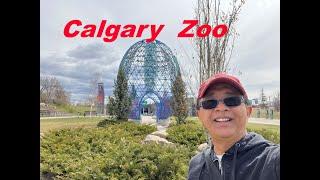 Calgary Zoo April 2024