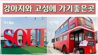 [강원도 고성] 산책하기 좋은곳+바다뷰가 멋진 대형애견동반카페(브런치카페)