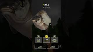 ФАРМ СЕРЕБРА | ЛЕЩ | СТАРЫЙ ОСТРОГ | ТРОФЕИ #rf4 #рр4 #русскаярыбалка4 #russianfishing4