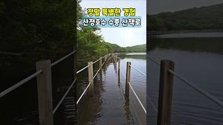 정말 특별한 경험 산정호수 수중 산책로 /수변산책로 /걷기좋은길 /둘레길 가볼만한곳 /제주도 여행 /사라오름 /한라산 /등산 명소 /7월 국내여행지 추천