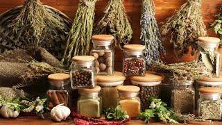 Эти #растения нужны в каждый #дом и принесут #благополучие, #достаток, #защита и #энергия