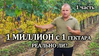 1 МИЛЛИОН С 1 ГА РЕАЛЬНО ЛИ ЭТО? ПОДРОБНЫЙ ОБЗОР ТЕХНОЛОГИИ.