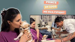 Staff Ke liye Banai Biryani/Gogo Prince fight #yuvikachaudhary