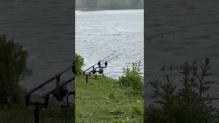 CRAZY CARP RUN #carpfishing