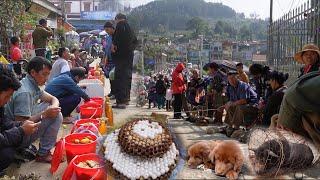 Bustling highland market - short-butt dog - local pig - wild herbs - delicious market dishes