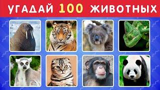 УГАДАЙ ЖИВОТНОЕ ЗА 3 СЕКУНДЫ   УГАДАЙ 100 ЖИВОТНЫХ