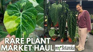 Rare plant market | HAUL myBotanika Houten | Plant with Roos