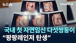 국내 첫 자연임신 다섯쌍둥이…“팡팡레인저 탄생” / 채널A / 뉴스A