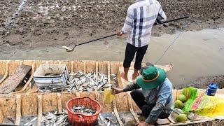 Fishing Fish | Kích Bầy Cá ĐÓI 1.000 Con Trong Vuông Tôm