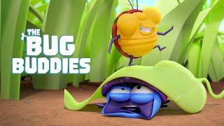 BEETLE BUDDIES in Let's Go Camping... and more!  New Cartoons Every Week | Cartoon for Kids