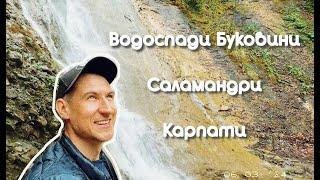 Лавромандри водоспадами Чернівецької області. 8 водоспадів Буковини. Саламандри.