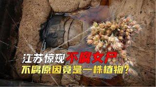 江苏出土夫妻合葬墓，男主人已成白骨，为何女主人500年尸身不腐