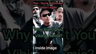 You Ain't Vibing At Eminem Concert...#saram#funny#youtubeshorts#trending#eminem #rapgod#shortsfeed