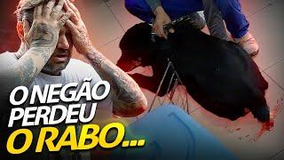 O NEGÃO PERDEU O RABO! | A CASA DOS BICHOS