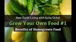 Grow Your Own Food:  Benefits of Homegrown Food & Garden Tour (NEL ep. 11)