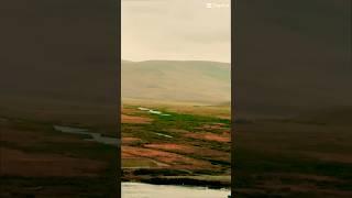 Deosai National Park #deosai #skardu #gilgitbaltistan #pakistan #shorts #ytshorts #river #view ##4k