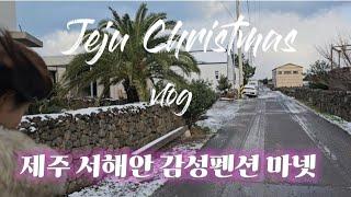 [국제커플]제주에서 보낸 연말/제주 감성펜션 마넷/제주 한경면 예쁜펜션 MANET(마넷) Giới thiệu nhà cho thuê đẹp ở đảo jeju.
